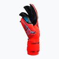 Guanti da portiere Reusch Attrakt Gold X Evolution Cut rosso brillante/blu futuro/nero 6