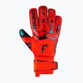 Guanto da portiere Reusch Attrakt Gold Roll Finger rosso brillante/blu futuro/nero 5