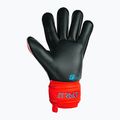 Guanto da portiere Reusch Attrakt Gold Roll Finger rosso brillante/blu futuro/nero 6