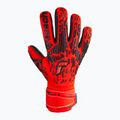 Guanti da portiere Reusch Attrakt Freegel Silver rosso vivo/blu futuro/nero 4