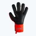Guanti da portiere Reusch Attrakt Freegel Silver rosso vivo/blu futuro/nero 5