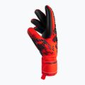 Guanti da portiere Reusch Attrakt Freegel Silver rosso vivo/blu futuro/nero 6