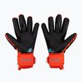 Guanti da portiere Reusch Attrakt Freegel Silver rosso vivo/blu futuro/nero 2