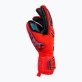 Guanti da portiere per bambini Reusch Attrakt Fusion Finger Support Guardian rosso brillante/blu futuro 6
