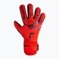 Guanti da portiere per bambini Reusch Attrakt Grip Evolution Finger Support rosso brillante/blu futuro 4