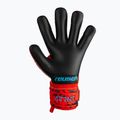 Guanti da portiere per bambini Reusch Attrakt Grip Evolution Finger Support rosso brillante/blu futuro 5