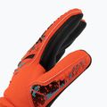 Guanti da portiere per bambini Reusch Attrakt Grip Evolution Finger Support rosso brillante/blu futuro 3