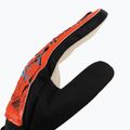 Reusch Attrakt Starter Guanti da portiere solidi di colore rosso brillante/blu futuro 3