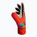 Guanti da portiere per bambini Reusch Attrakt Solid rosso brillante/blu futuro 6