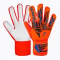 Guanti da portiere Reusch Attrakt Starter Solid rosso vivo/blu futuro