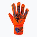 Guanti da portiere Reusch Attrakt Starter Solid rosso vivo/blu futuro 2