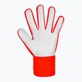 Guanti da portiere Reusch Attrakt Starter Solid rosso vivo/blu futuro 3