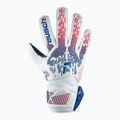 Guanti da portiere Reusch Attrakt Solid croatia 2