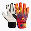 Guanti da portiere per bambini Reusch Attrakt Starter Solid Junior spagna