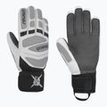 Guanti da sci uomo Reusch Worldcup Warrior DG white/glacier