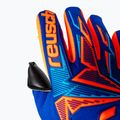 Guanti da portiere Reusch Attrakt Freegel Duo NC sharp blue/shocking orange/black 6