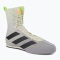 adidas Box Hog 3 scarpe da boxe grigio FV6584