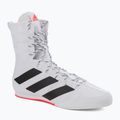 Scarpe da boxe adidas Box Hog 3 bianco e nero GV9975