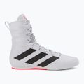 Scarpe da boxe adidas Box Hog 3 bianco e nero GV9975 2