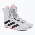 Scarpe da boxe adidas Box Hog 3 bianco e nero GV9975 5