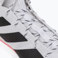 Scarpe da boxe adidas Box Hog 3 bianco e nero GV9975 7