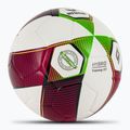 ERIMA Hybrid Training 2.0 rosso / verde geco calcio dimensioni 5 2