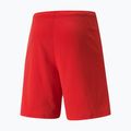 Pantaloncini da calcio PUMA Teamrise rosso/puma bianco da uomo 7