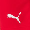 Pantaloncini da calcio PUMA Teamrise rosso/puma bianco da uomo 4