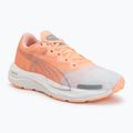 Scarpe da running da donna Puma Velocity Nitro 2 melon/white/grey