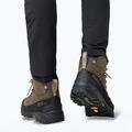 Scarpe da trekking Jack Wolfskin Terraquest Arctic Texapore Mid da uomo, caffè freddo 9