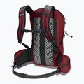 Jack Wolfskin Cyrox Shape 20 l zaino da trekking rubino profondo 2