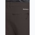 Pantaloni da trekking da uomo Jack Wolfskin Pico Trail phantom 5