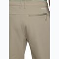 Pantaloni da trekking da uomo Jack Wolfskin Pico Trail Zip Off stone 7