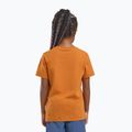 Maglietta Jack Wolfskin da bambino Graphic Cotton T stampa morbida ambra 6