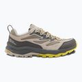 Scarpe da trekking da uomo Jack Wolfskin Cyrox Vent Low chartreuse 8
