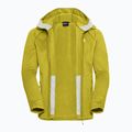 Felpa da trekking uomo Jack Wolfskin Peak District con cappuccio e zip integrale chartreuse 9