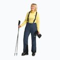 Pantaloni da sci da donna Jack Wolfskin Flowline Pro 2L Ins midnight sky 2