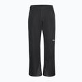 Pantaloni da sci da uomo Jack Wolfskin Flowline 2L Ins black 8