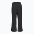 Pantaloni da sci da uomo Jack Wolfskin Flowline 2L Ins black 9