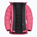 Giacca piumino donna Jack Wolfskin Ather Down Hoody bubblegum 9