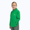 Pile bambino Jack Wolfskin Taunus mystic green 10