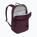 Zaino urbano Jack Wolfskin Terraview 20 l amaranth 6
