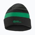 Cappello invernale per bambini Jack Wolfskin Stripy Knit verde ardesia/mistico