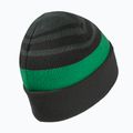 Cappello invernale per bambini Jack Wolfskin Stripy Knit verde ardesia/mistico 2
