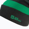 Cappello invernale per bambini Jack Wolfskin Stripy Knit verde ardesia/mistico 3