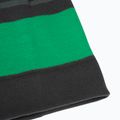 Cappello invernale per bambini Jack Wolfskin Stripy Knit verde ardesia/mistico 6