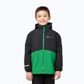 Giacca 3in1 per bambini Jack Wolfskin Iceland 3IN1 mystic geen 13