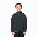 Giacca 3in1 per bambini Jack Wolfskin Iceland 3IN1 mystic geen 15