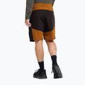 Scarpe da trekking uomo Jack Wolfskin Apex Hike Texapore Low black 9