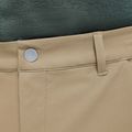 Pantaloncini da trekking da uomo Jack Wolfskin Pico hazel wood 5